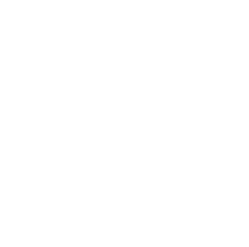 Strong R&D and Customization Support