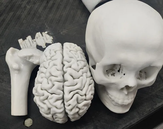 SLS Nylon 3D Printing