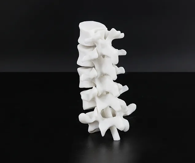 SLS Nylon 3D Printing
