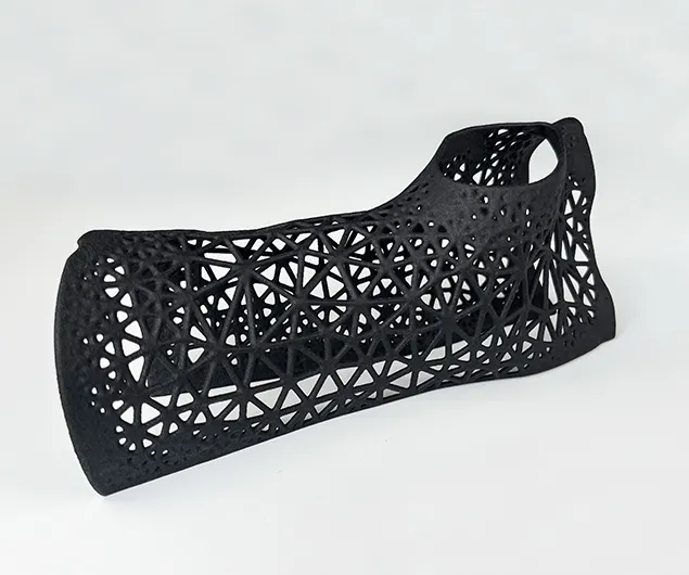 SLS Nylon 3D Printing