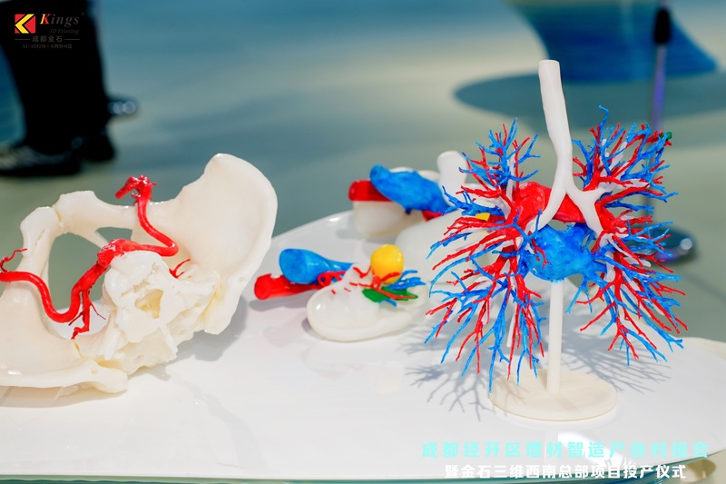 Kings 3D Launches Southwest Headquarters in Chengdu, Strengthening Additive Manufacturing Ecosystem